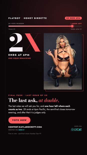 Last hour flyer
